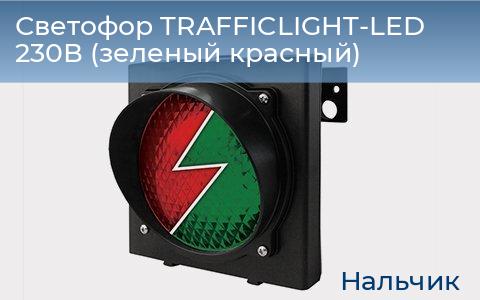 Светофор TRAFFICLIGHT-LED 230В (зеленый+красный), nalchik.doorhan.ru