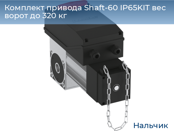 Комплект привода Shaft-60 IP65KIT вес ворот до 320 кг, nalchik.doorhan.ru