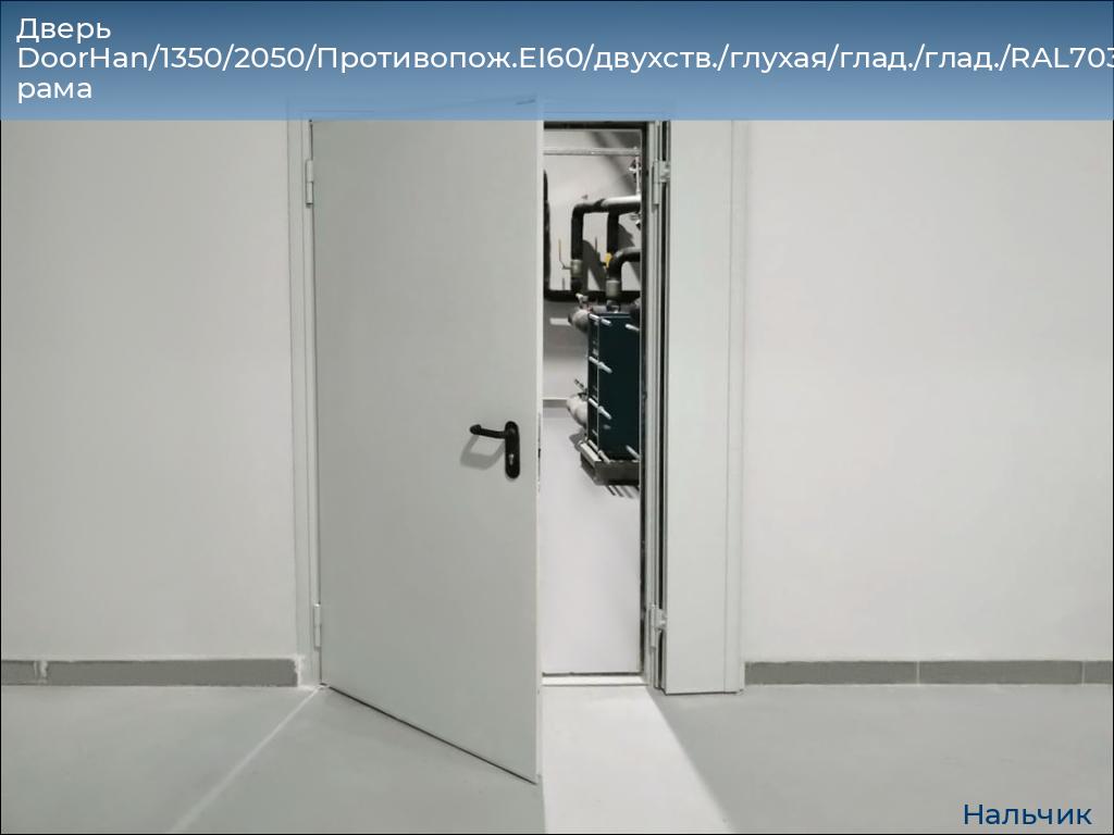 Дверь DoorHan/1350/2050/Противопож.EI60/двухств./глухая/глад./глад./RAL7035/лев./угл. рама, nalchik.doorhan.ru
