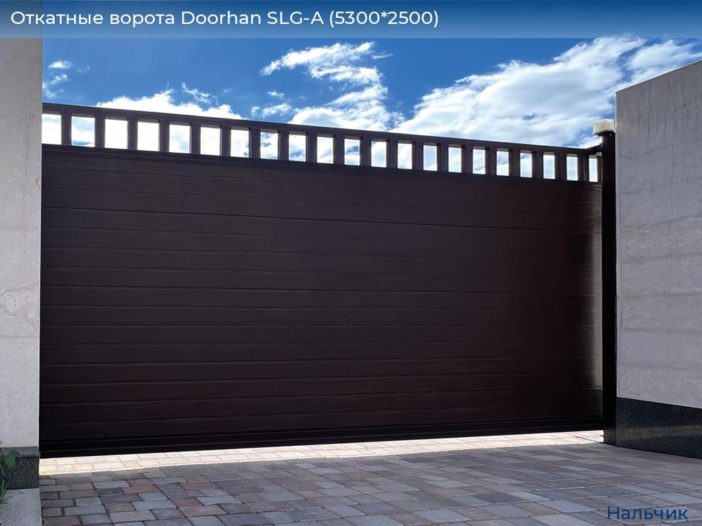 Откатные ворота Doorhan SLG-A (5300*2500), nalchik.doorhan.ru