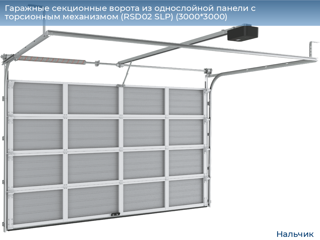 Гаражные секционные ворота из однослойной панели с торсионным механизмом (RSD02 SLP) (3000*3000), nalchik.doorhan.ru