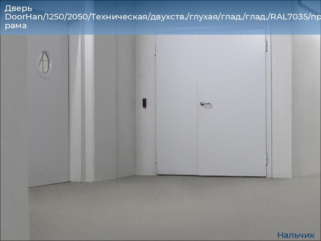 Дверь DoorHan/1250/2050/Техническая/двухств./глухая/глад./глад./RAL7035/прав./угл. рама, nalchik.doorhan.ru