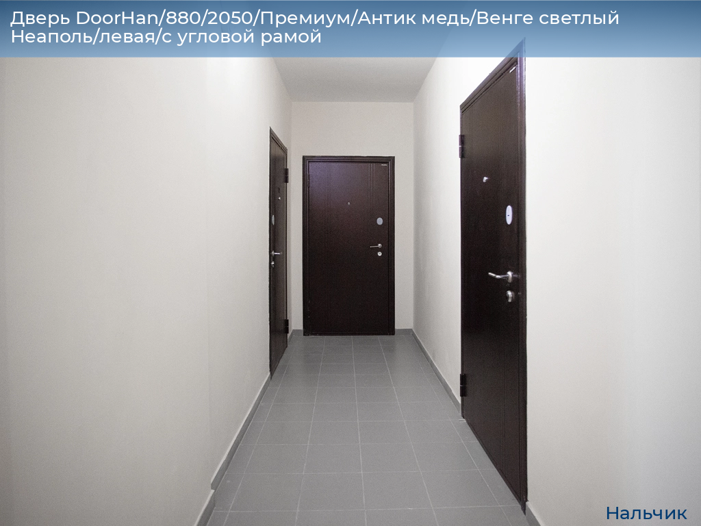 Дверь DoorHan/880/2050/Премиум/Антик медь/Венге светлый Неаполь/левая/с угловой рамой, nalchik.doorhan.ru