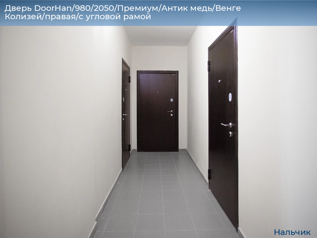 Дверь DoorHan/980/2050/Премиум/Антик медь/Венге Колизей/правая/с угловой рамой, nalchik.doorhan.ru