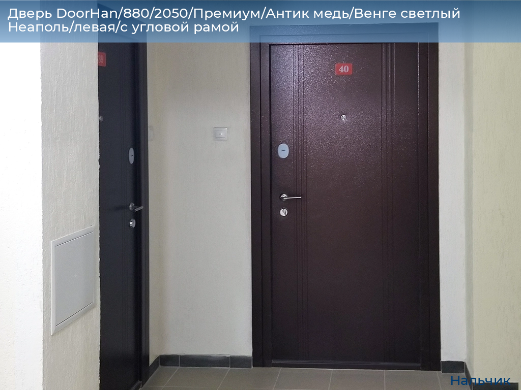 Дверь DoorHan/880/2050/Премиум/Антик медь/Венге светлый Неаполь/левая/с угловой рамой, nalchik.doorhan.ru