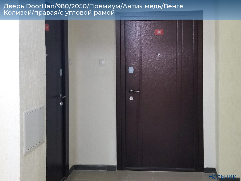 Дверь DoorHan/980/2050/Премиум/Антик медь/Венге Колизей/правая/с угловой рамой, nalchik.doorhan.ru